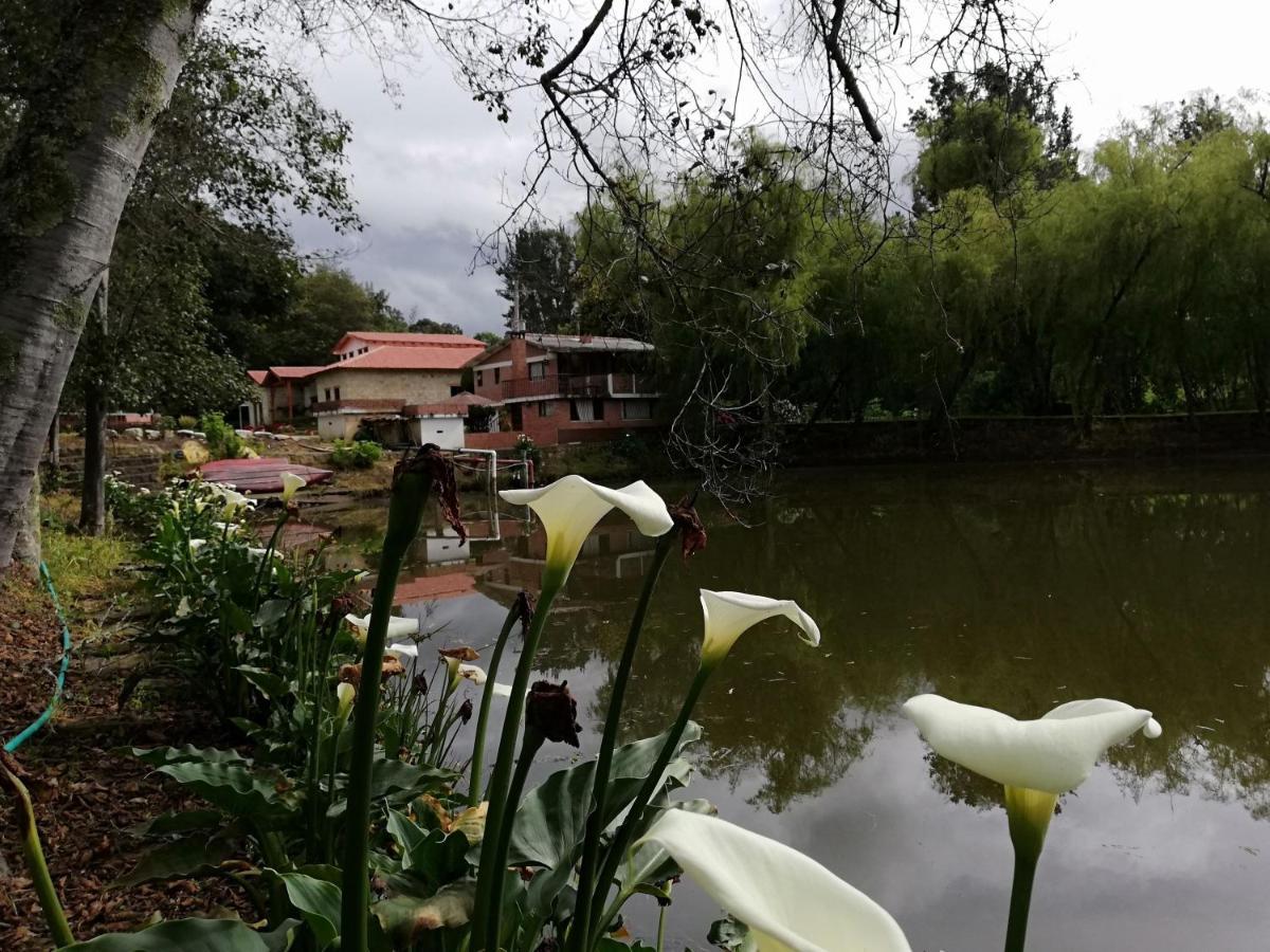 Hacienda Moncora, Un Lugar Hermoso Para Toda La Familia Y Los Amigos Βίλα El Rosal Εξωτερικό φωτογραφία